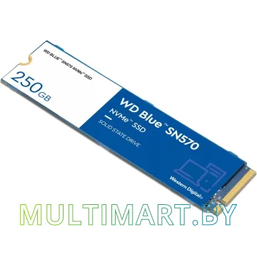 SSD диск WD Blue SN570 250GB (WDS250G3B0C)